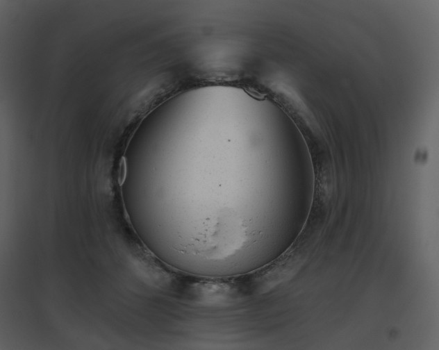 X0000096630512200802121050