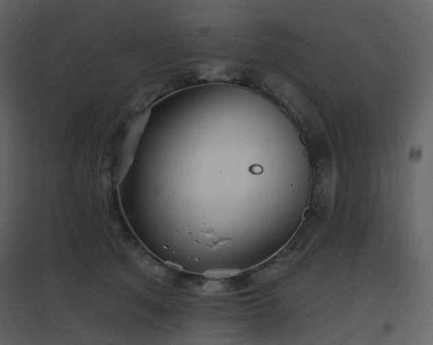 X0000096630513200802121050