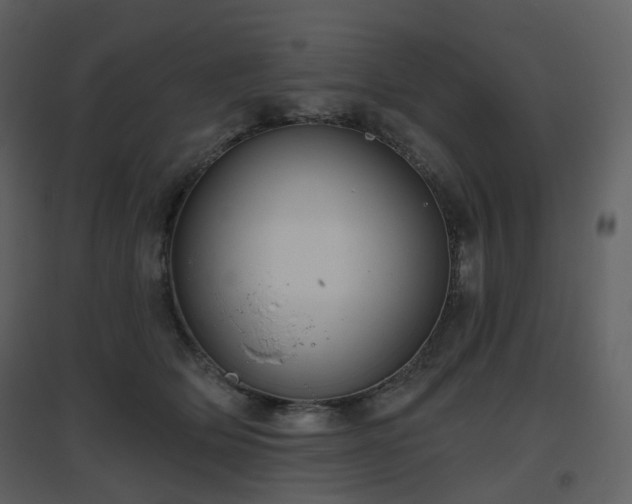 X0000096630514200802121050