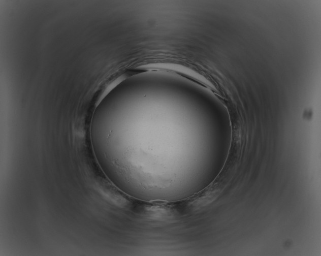 X0000096630516200802121050