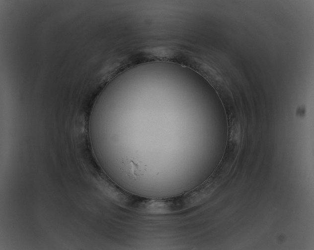 X0000096630518200802121050