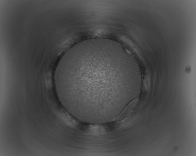 X0000096630520200802121050