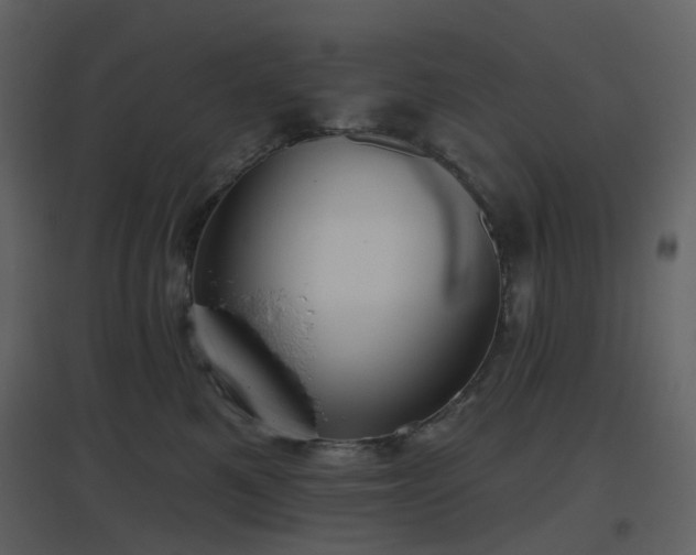 X0000096630521200802121050