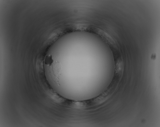 X0000096630522200802121050