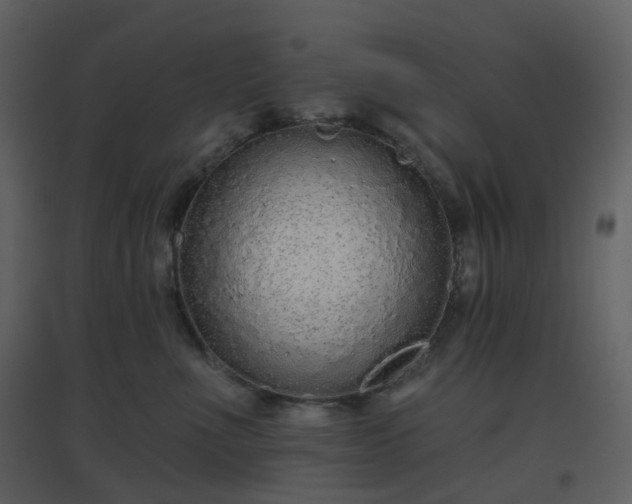 X0000096630523200802121050