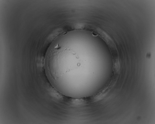 X0000096630525200802121050