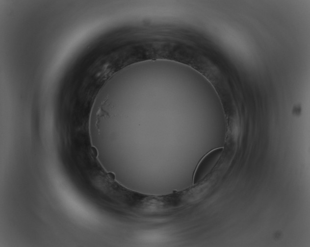 X0000096630526200802121050