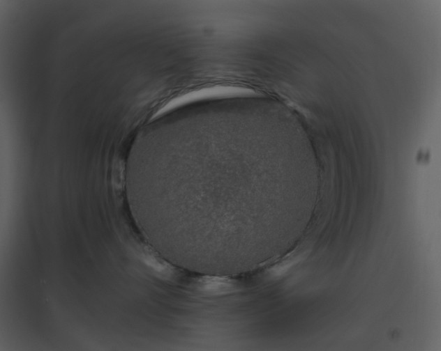 X0000096630528200802121050