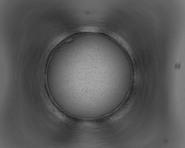 X0000096630529200802121049