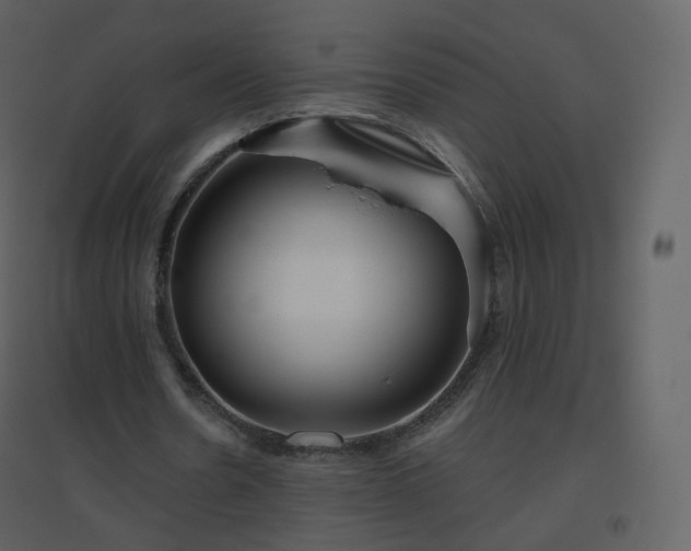 X0000096630530200802121049