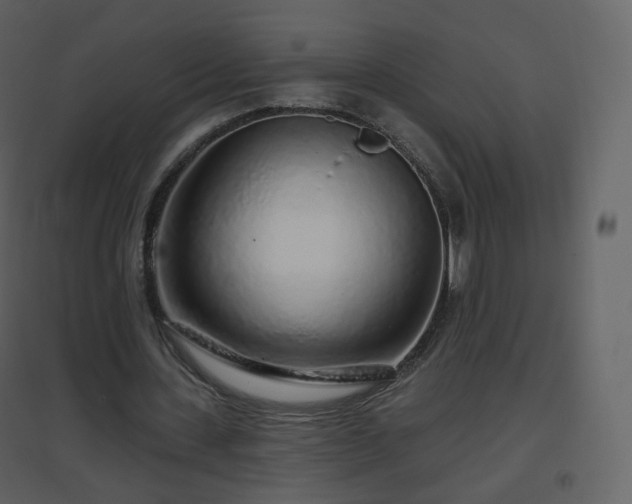 X0000096630531200802121049
