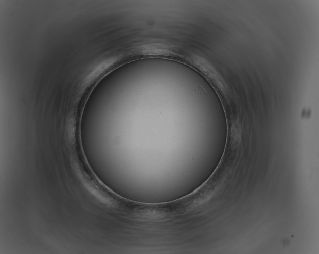 X0000096630533200802121049