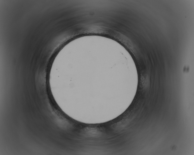 X0000096630534200802121049