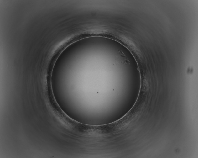X0000096630535200802121049
