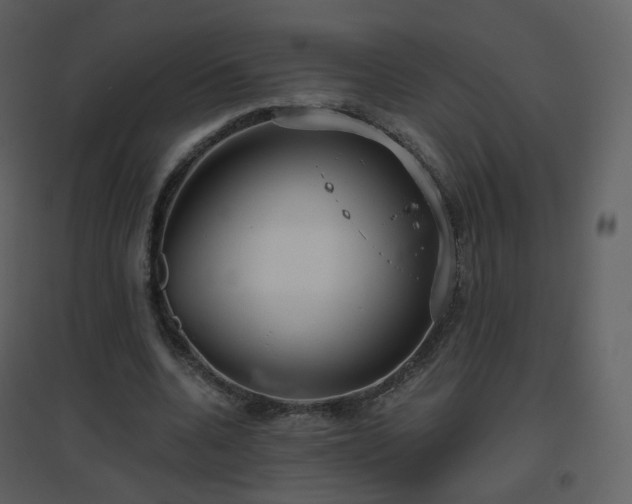X0000096630536200802121049