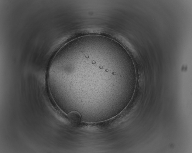 X0000096630537200802121049