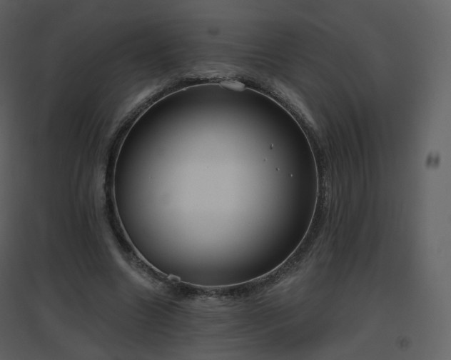 X0000096630538200802121049