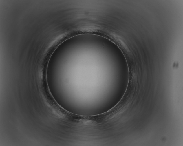 X0000096630539200802121049