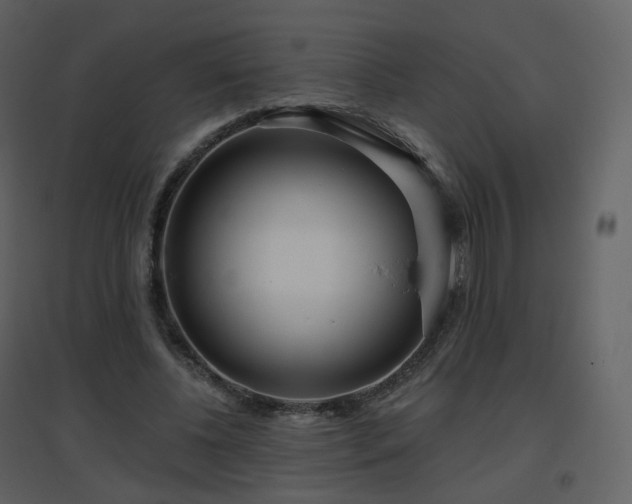 X0000096630540200802121049