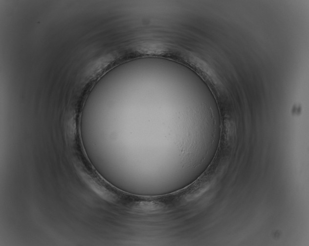 X0000096630541200802121049