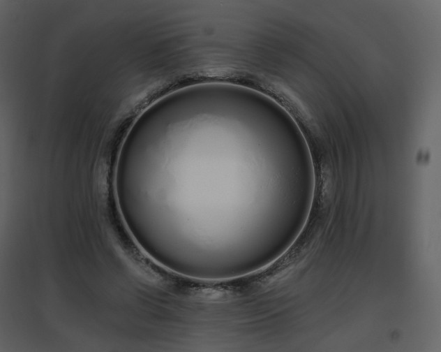 X0000096630542200802121049