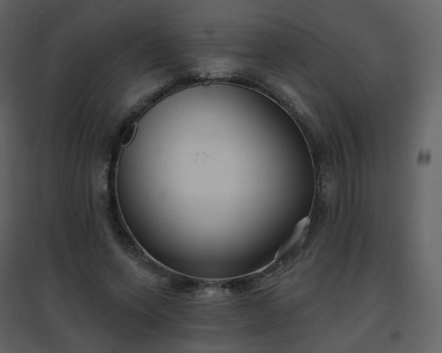 X0000096630543200802121049