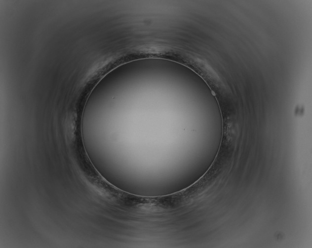 X0000096630544200802121049