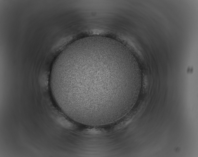 X0000096630545200802121049