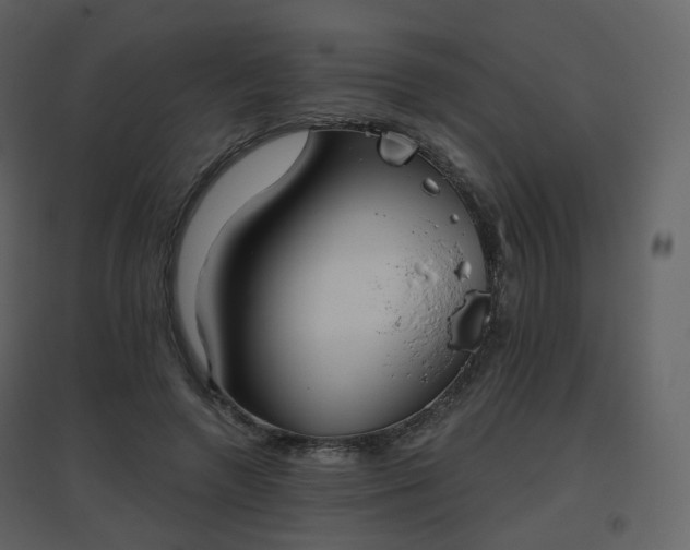 X0000096630546200802121049