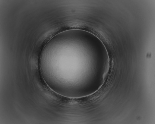 X0000096630547200802121049