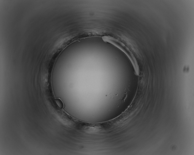 X0000096630548200802121049