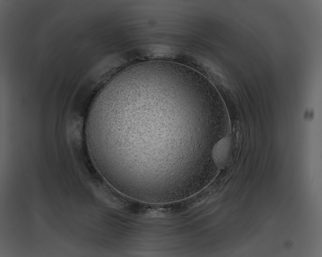 X0000096630550200802121049