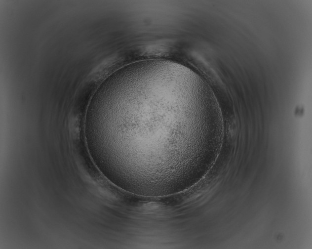X0000096630551200802121049