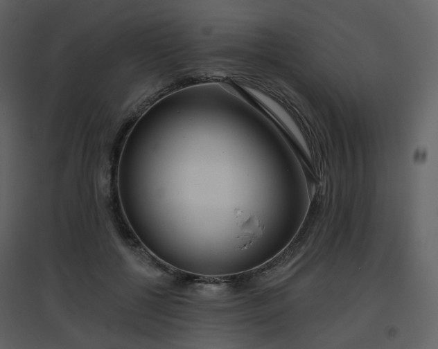 X0000096630552200802121049