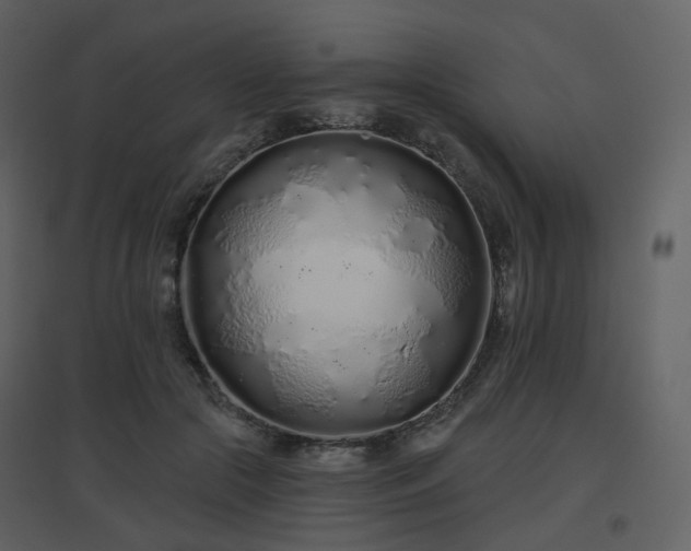 X0000096630553200802121049