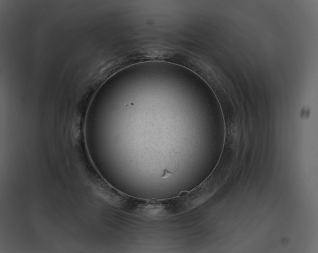 X0000096630554200802121049