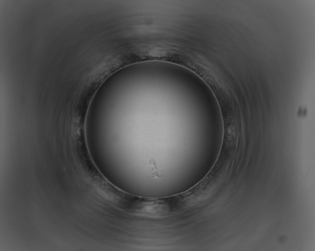 X0000096630555200802121049