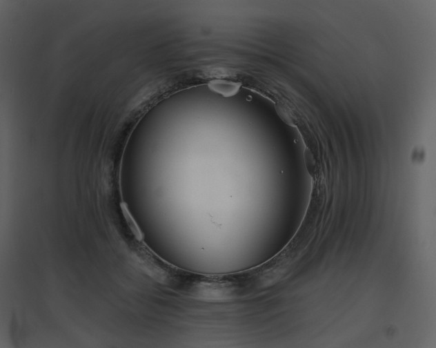 X0000096630556200802121050