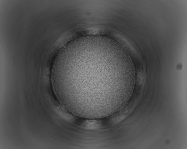 X0000096630557200802121050