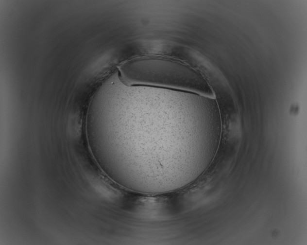 X0000096630558200802121050
