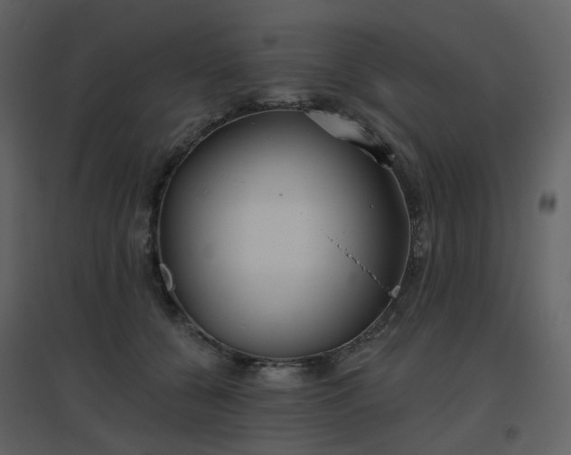 X0000096630560200802121050