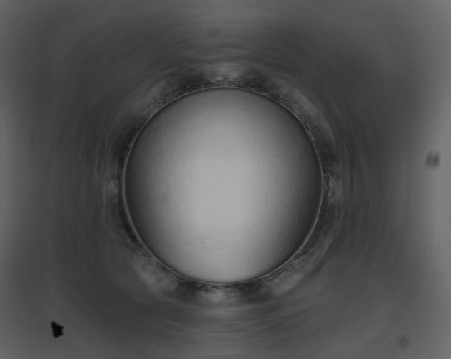 X0000096630561200802121050