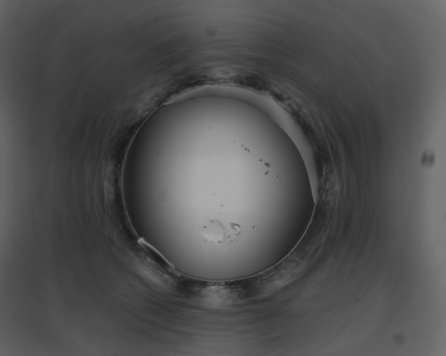 X0000096630562200802121050