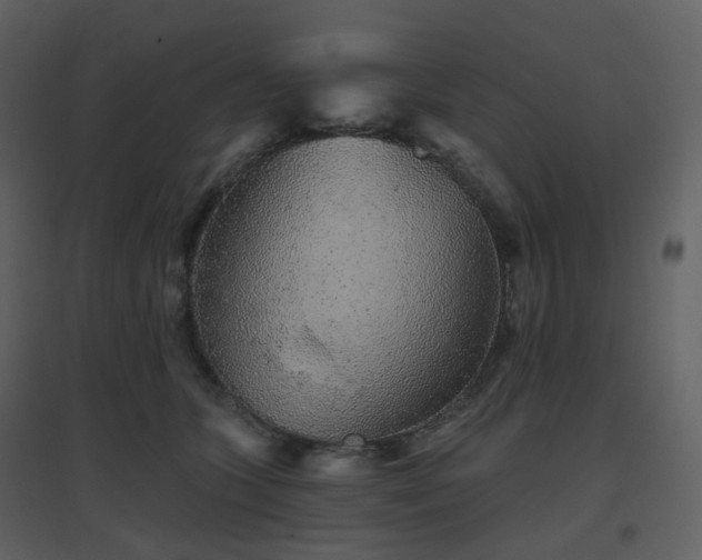 X0000096630563200802121050