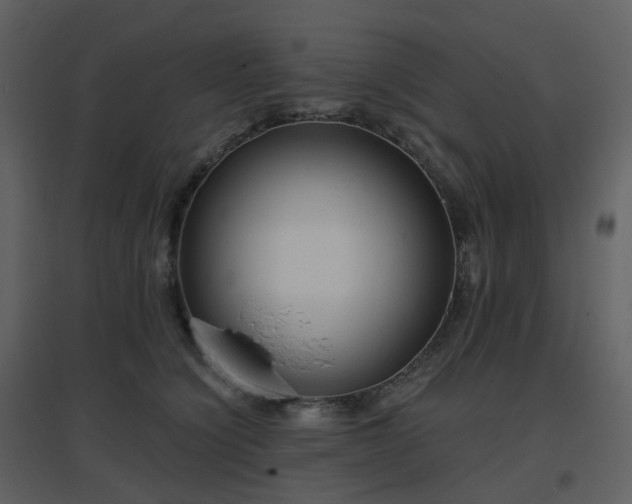 X0000096630564200802121050