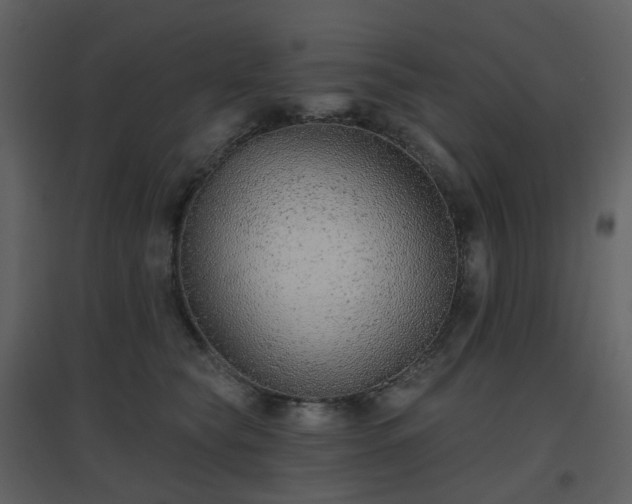 X0000096630565200802121050