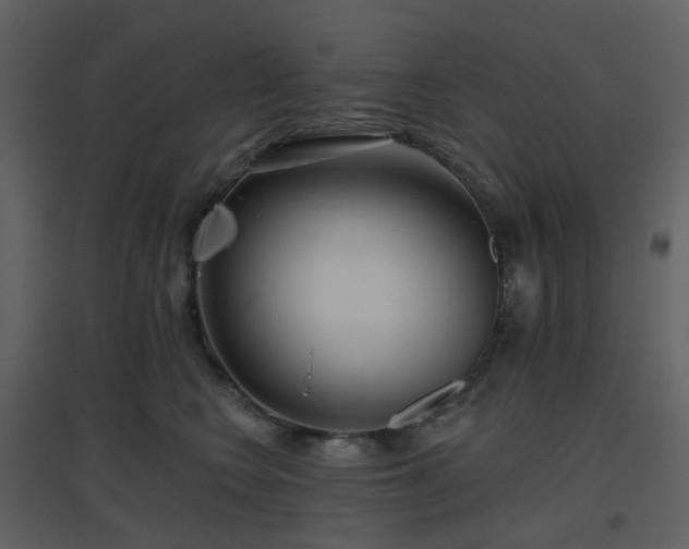 X0000096630566200802121050