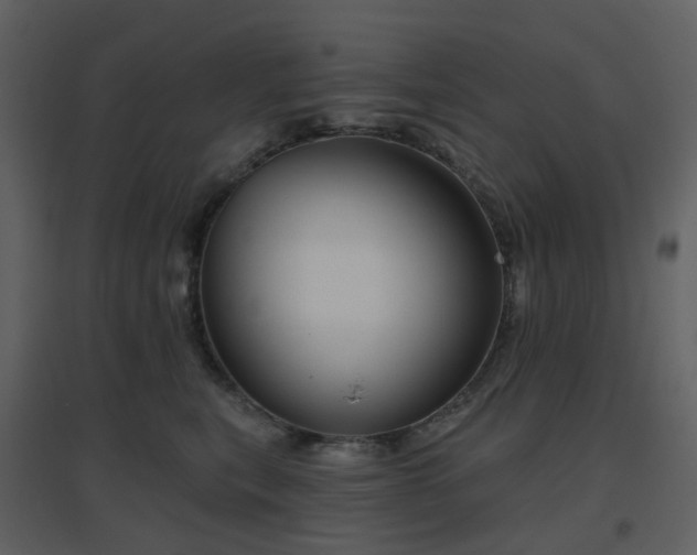 X0000096630567200802121050