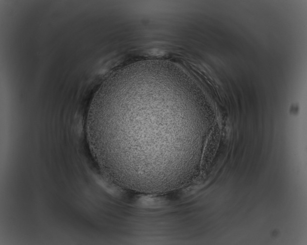 X0000096630568200802121050