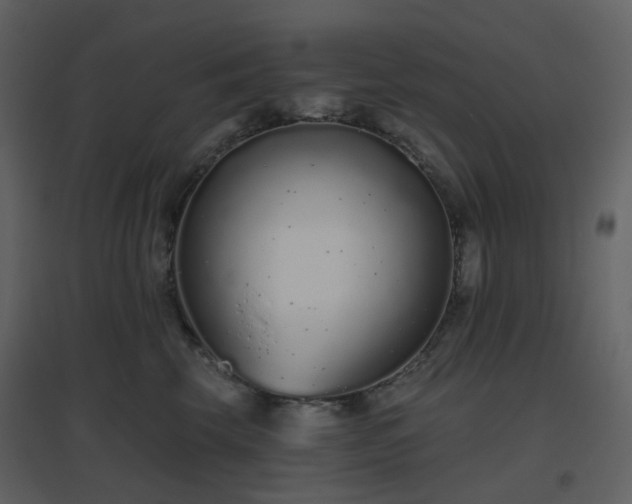 X0000096630569200802121050